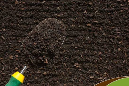 Best Organic Topsoil In CT